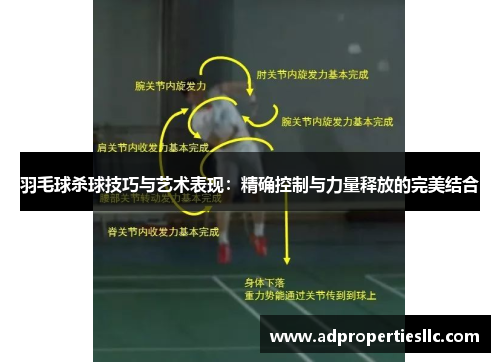 羽毛球杀球技巧与艺术表现：精确控制与力量释放的完美结合
