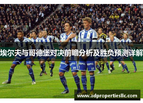 埃尔夫与哥德堡对决前瞻分析及胜负预测详解