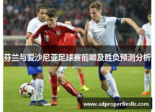 芬兰与爱沙尼亚足球赛前瞻及胜负预测分析