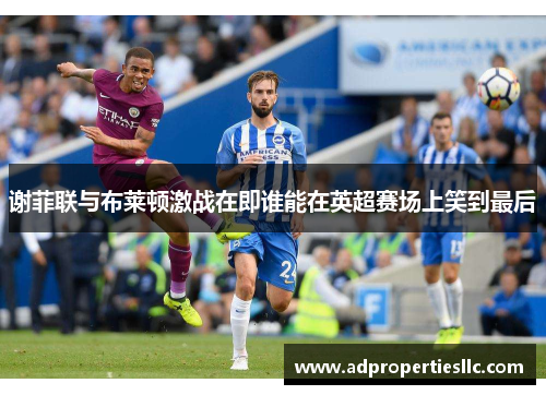 谢菲联与布莱顿激战在即谁能在英超赛场上笑到最后